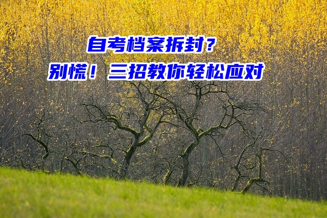 自考档案拆封？别慌！三招教你轻松应对