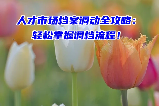 人才市场档案调动全攻略：轻松掌握调档流程！