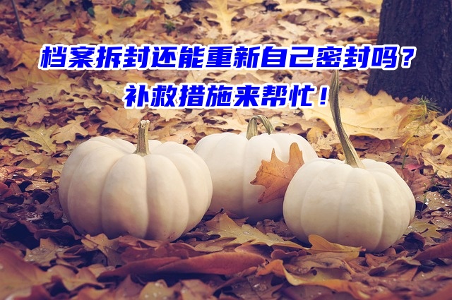 档案拆封还能重新自己密封吗？补救措施来帮忙！