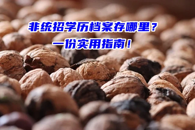 非统招学历档案存哪里？一份实用指南！