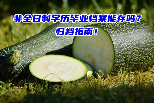 非全日制学历毕业档案能存吗？归档指南！