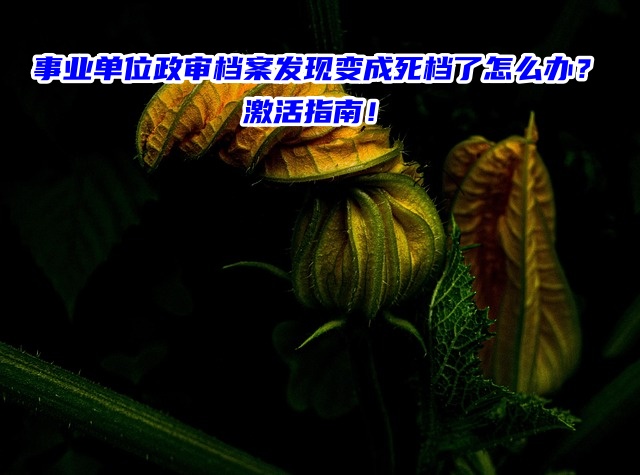 事业单位政审档案发现变成死档了怎么办？激活指南！