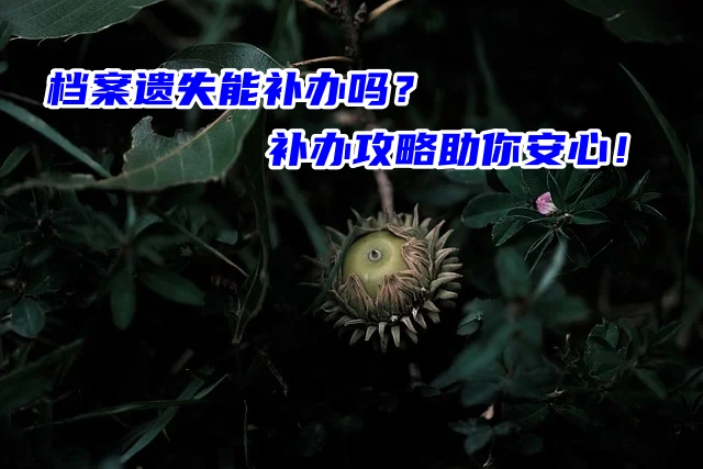 档案遗失能补办吗？补办攻略助你安心！