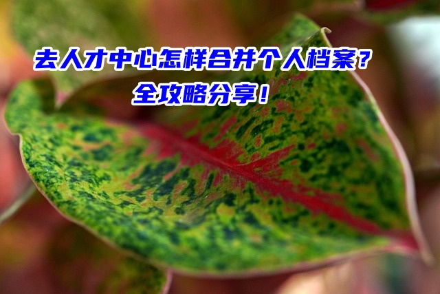 去人才中心怎样合并个人档案？全攻略分享！