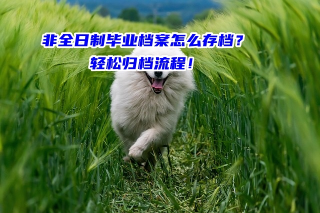 非全日制毕业档案怎么存档？轻松归档流程！