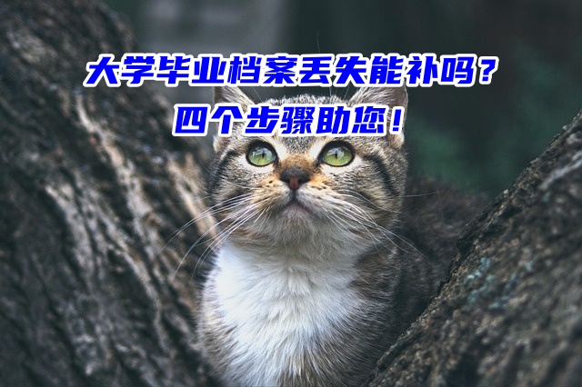大学毕业档案丢失能补吗？四个步骤助您！