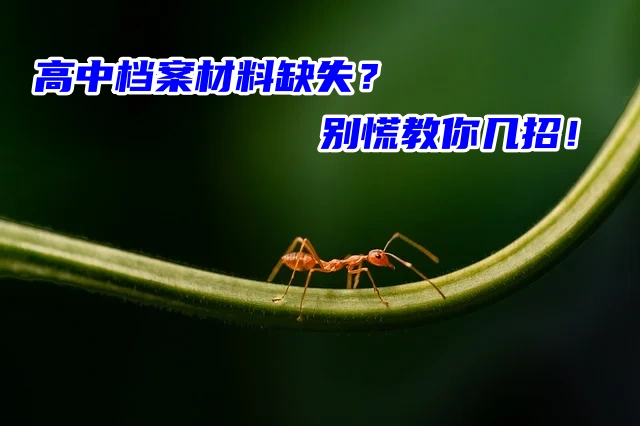高中档案材料缺失？别慌教你几招快速补办！