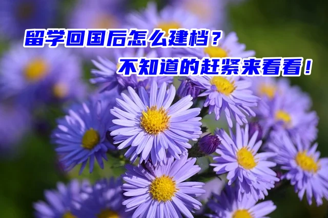 留学回国后怎么建档？不知道的赶紧来看看！