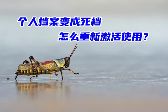 个人档案变成死档怎么重新激活使用？