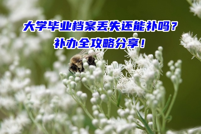 大学毕业档案丢失还能补吗？补办全攻略分享！