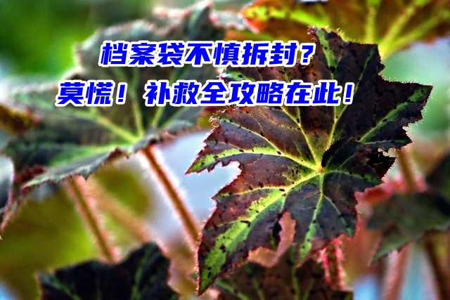 档案袋不慎拆封？莫慌！补救全攻略在此！