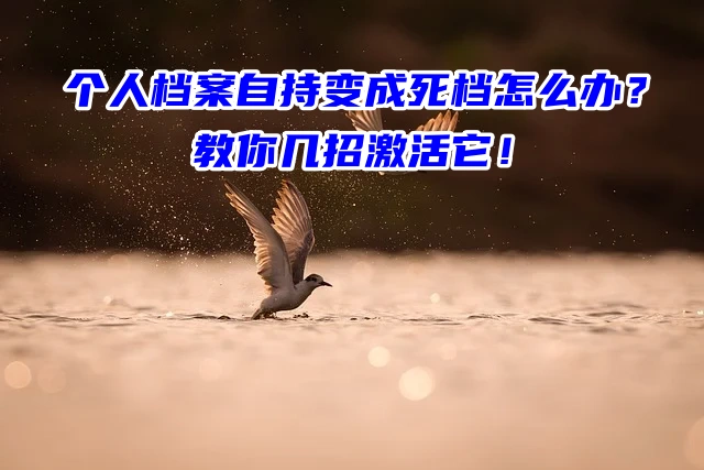 个人档案自持变成死档怎么办？教你几招激活它！