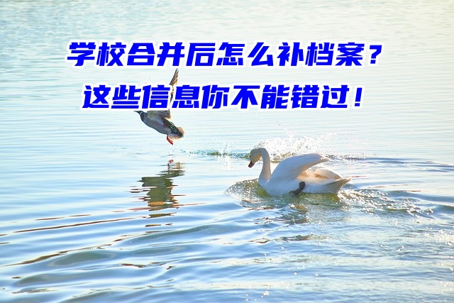 学校合并后怎么补档案？这些信息你不能错过！