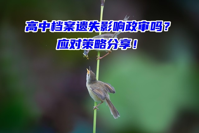 高中档案遗失影响政审吗？应对策略分享！