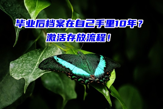 毕业后档案在自己手里10年？激活存放流程！