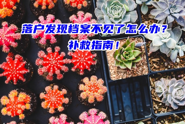 落户发现档案不见了怎么办？补救指南！