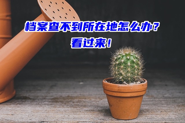 档案查不到所在地怎么办？看过来！