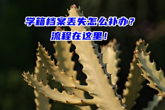 学籍档案丢失怎么补办？流程在这里！