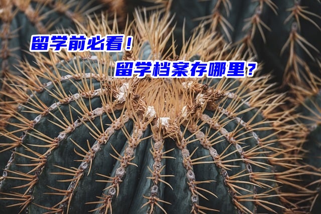 留学前必看！留学档案存哪里？