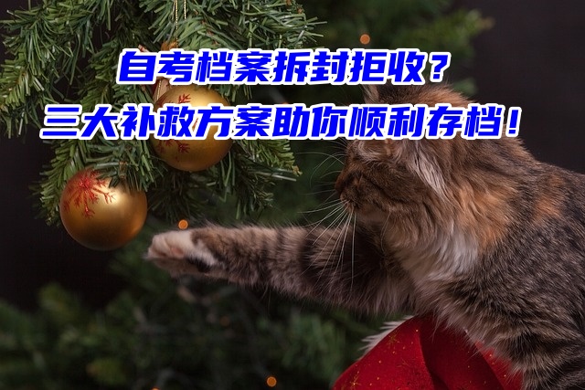 自考档案拆封拒收？三大补救方案助你顺利存档！