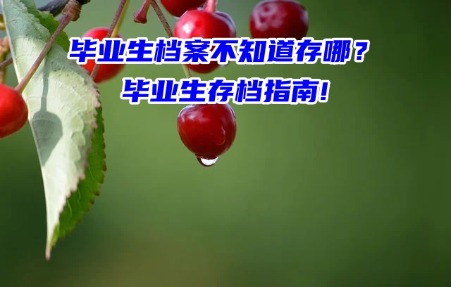 毕业生档案不知道存哪？毕业生存档指南!