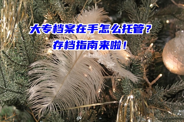 大专档案在手怎么托管？存档指南来啦！