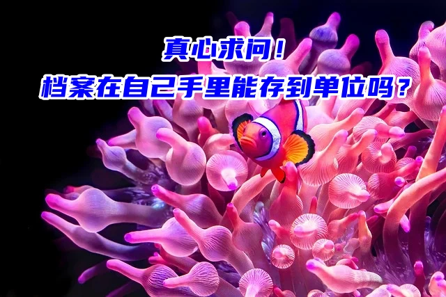 真心求问！档案在自己手里能存到单位吗？