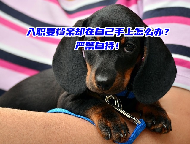 入职要档案却在自己手上怎么办？严禁自持！