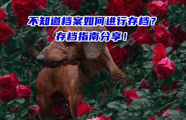 不知道档案如何进行存档？存档指南分享！