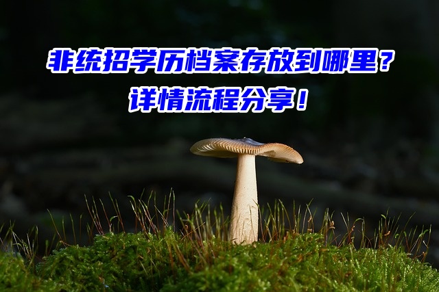 非统招学历档案存放到哪里？详情流程分享！