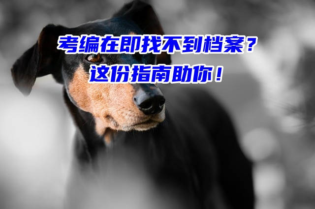 考编在即找不到档案？这份指南助你！