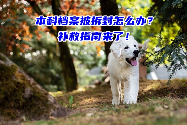 本科档案被拆封怎么办？补救指南来了！