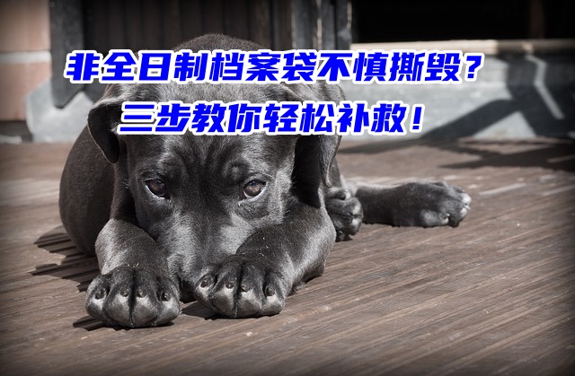 非全日制档案袋不慎撕毁？三步教你轻松补救！