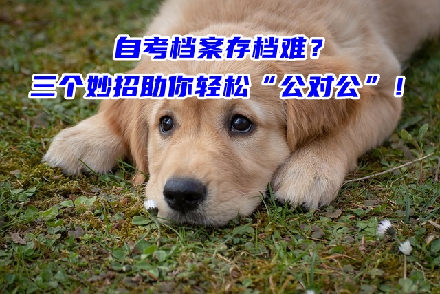 自考档案存档难？三个妙招助你轻松“公对公”！