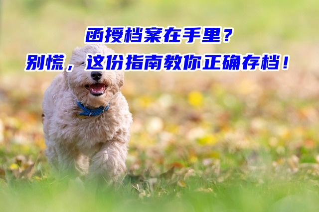 函授档案在手里？别慌，这份指南教你正确存档！