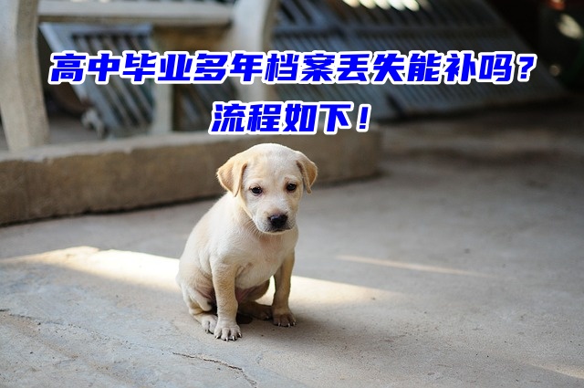 高中毕业多年档案丢失能补吗？流程如下！