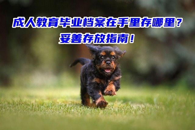 成人教育毕业档案在手里存哪里？妥善存放指南！