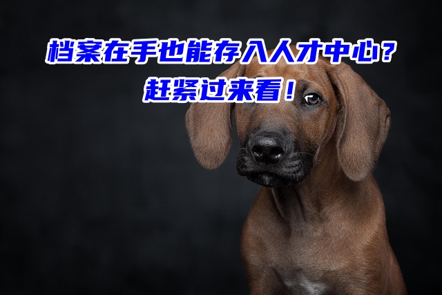 档案在手也能存入人才中心？赶紧过来看！