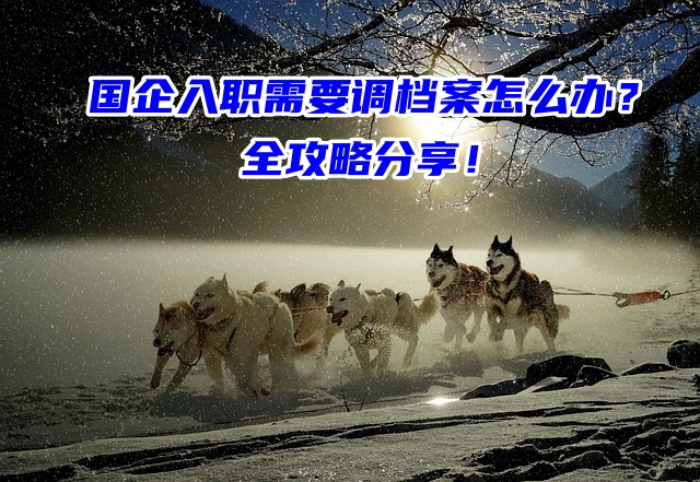 国企入职需要调档案怎么办？全攻略分享！