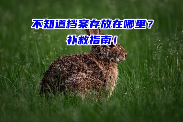 不知道档案存放在哪里？补救指南！