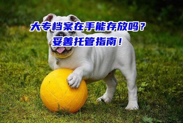 大专档案在手能存放吗？妥善托管指南！