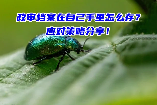 政审档案在自己手里怎么存？应对策略分享！