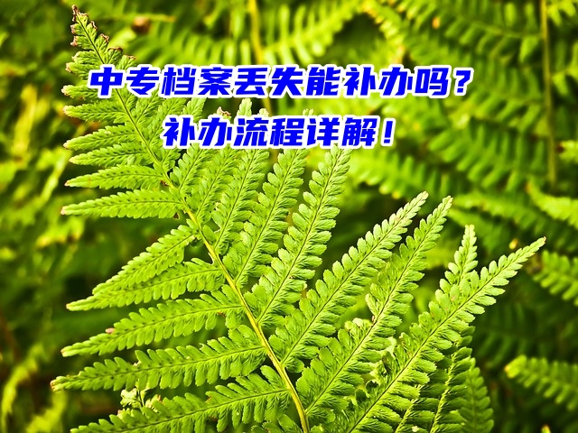 中专档案丢失能补办吗？补办流程详解！