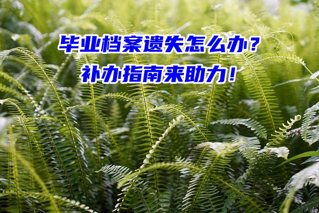 毕业档案遗失怎么办？补办指南来助力！