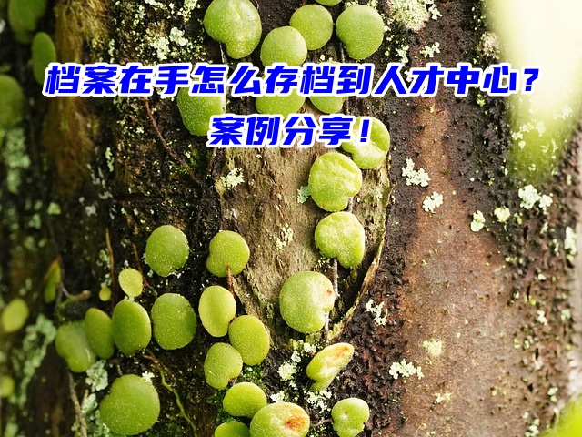 档案在手怎么存档到人才中心？案例分享！