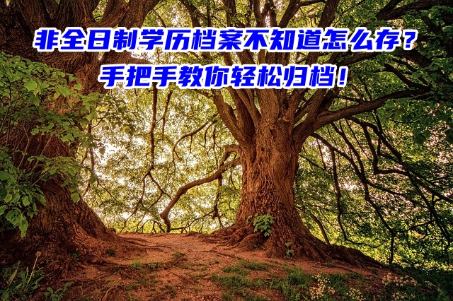 非全日制学历档案不知道怎么存？手把手教你轻松归档！