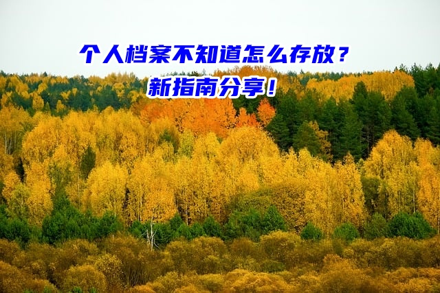 个人档案不知道怎么存放？新指南分享！