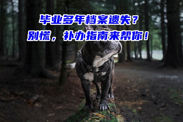 毕业多年档案遗失？别慌，补办指南来帮你！