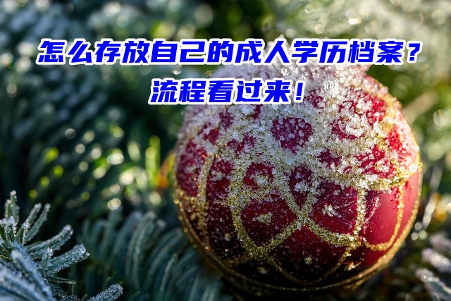 怎么存放自己的成人学历档案？流程看过来！