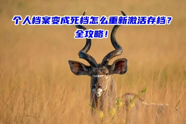 个人档案变成死档怎么重新激活存档？全攻略！